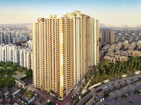Saya Gold Avenue